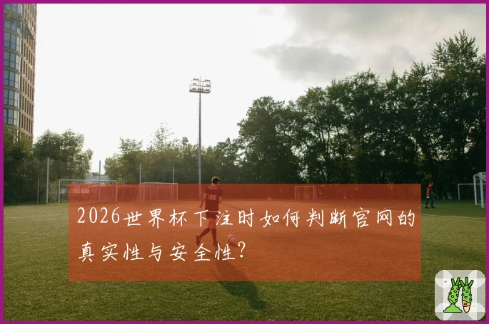 2026世界杯下注时如何判断官网的真实性与安全性？