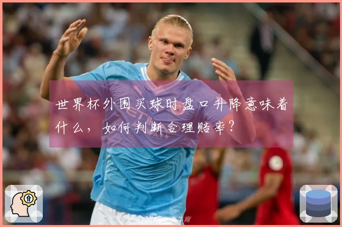 世界杯外围买球时盘口升降意味着什么，如何判断合理赔率？