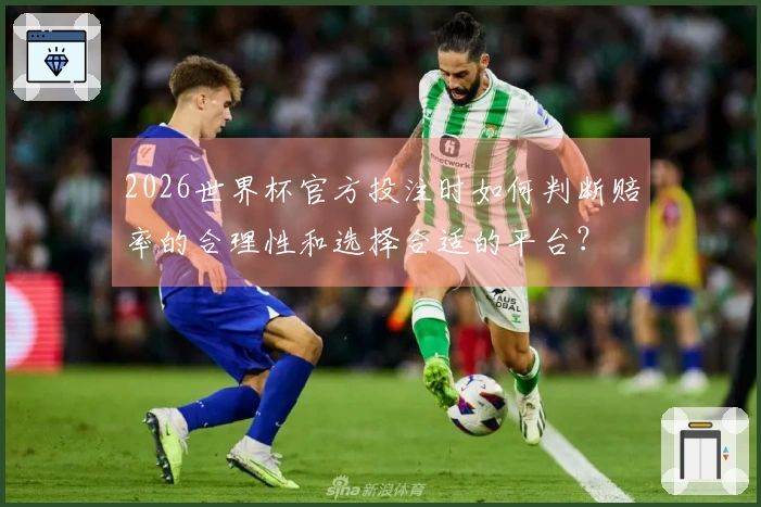 2026世界杯官方投注时如何判断赔率的合理性和选择合适的平台？