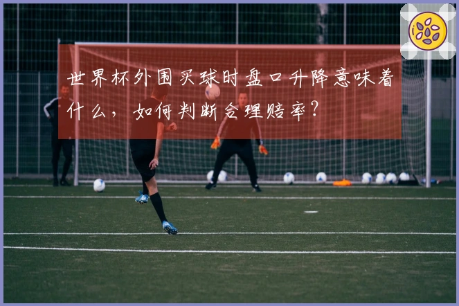 世界杯外围买球时盘口升降意味着什么，如何判断合理赔率？